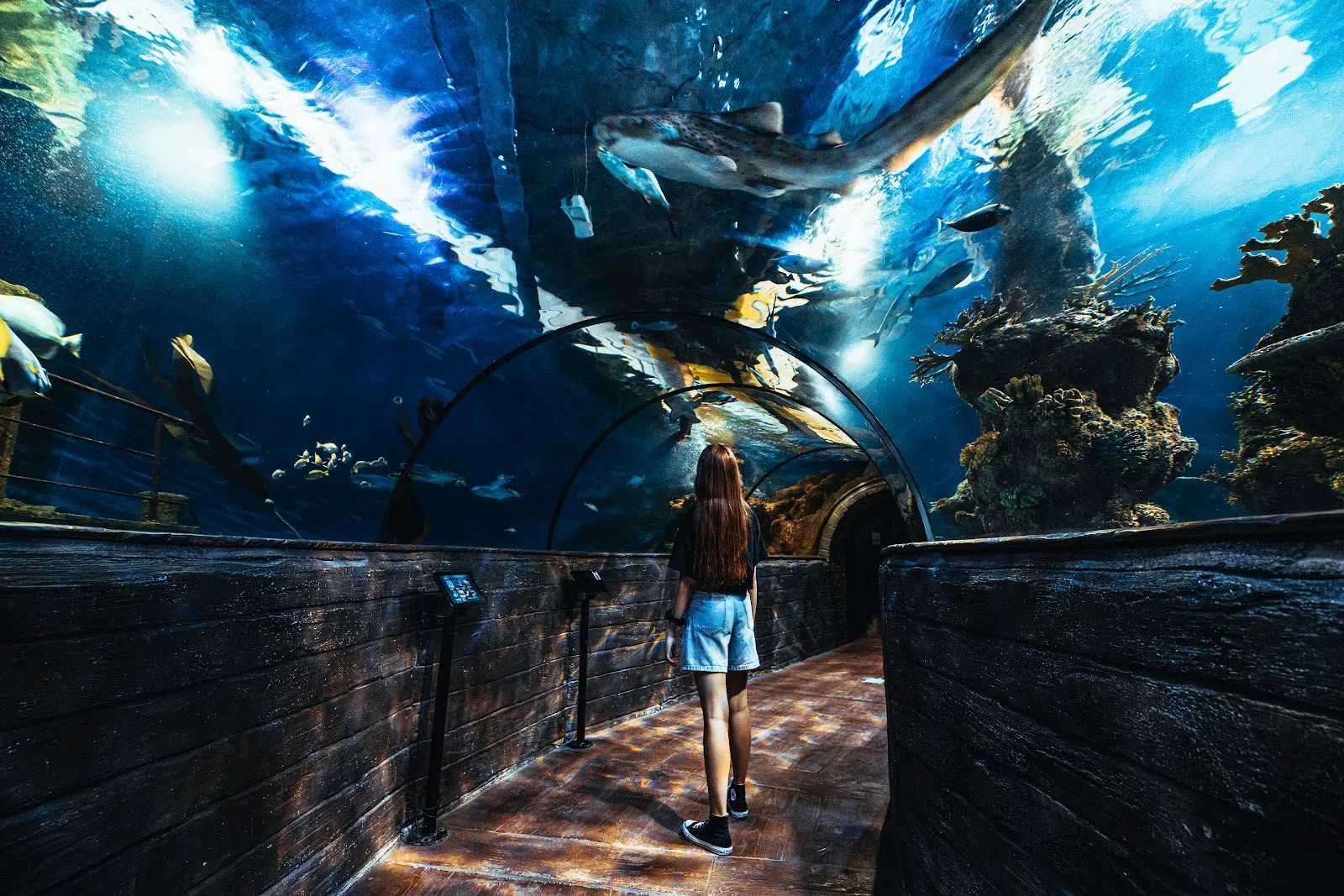 Malta National Aquarium, St Julian's